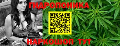 бошки Аргун