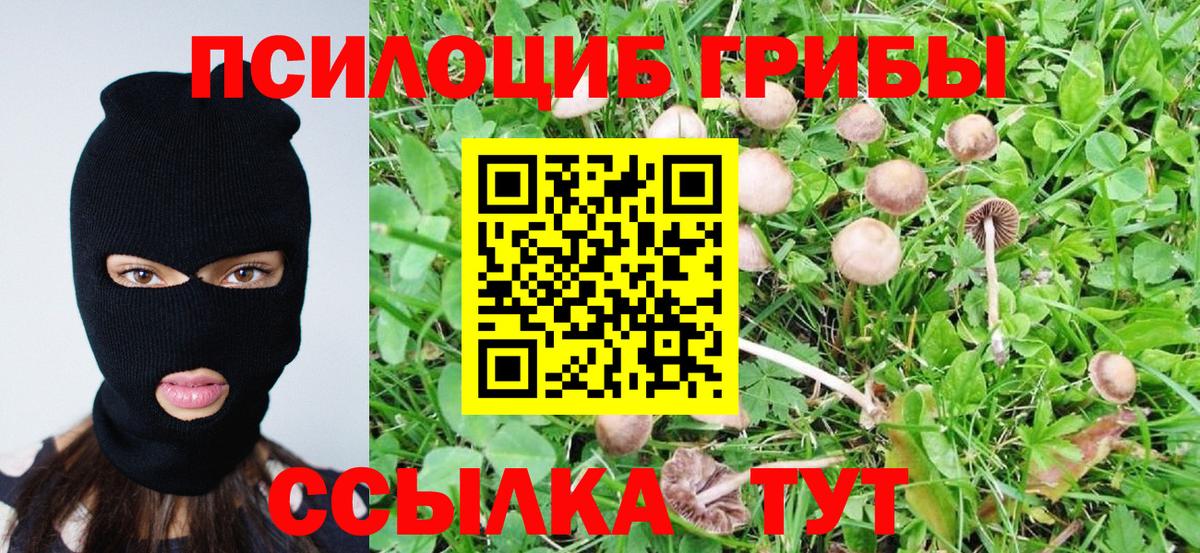 Галлюциногенные грибы мухоморы Выкса