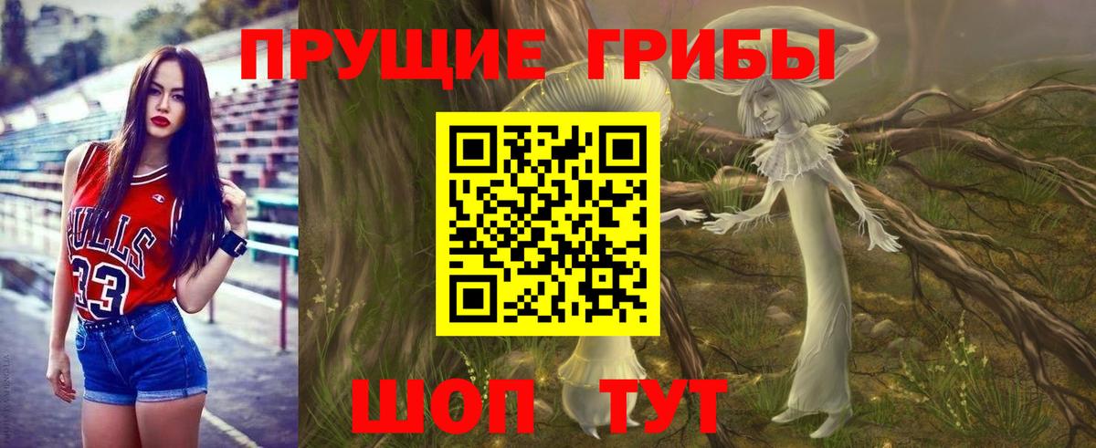 Псилоцибиновые грибы Cubensis  где купить наркоту  Выкса  Вход с VPN 